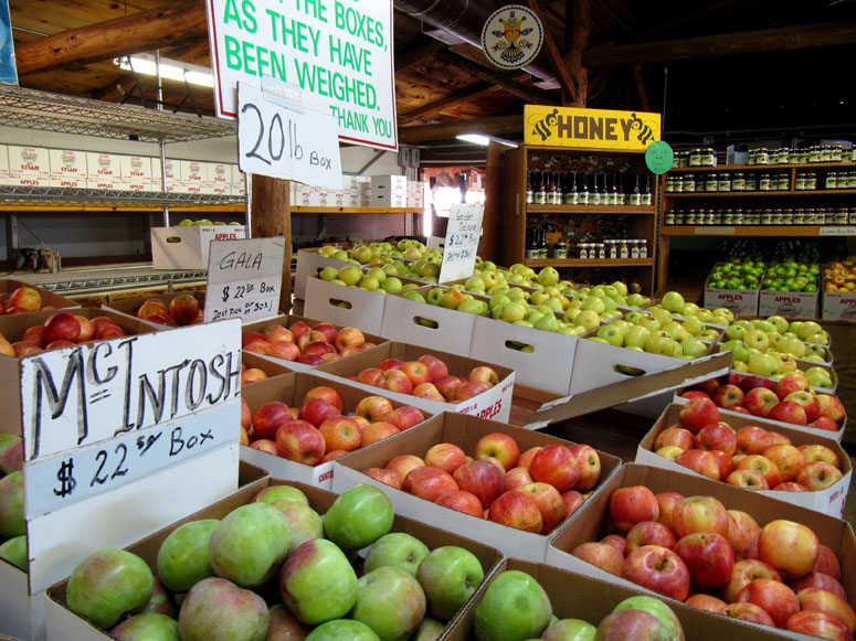 Apple Hill A Harvest Time Delight