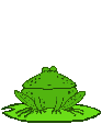 froggy2.gif (6960 bytes)