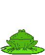 froggy4.gif (6960 bytes)
