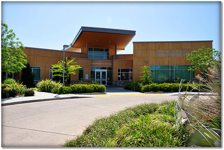 a great amenity for furry citizens of greater sacramento sac shelter