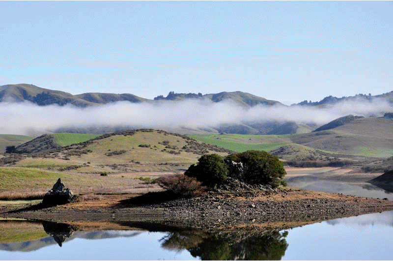 Inverness On Route to Point Reyes National Seashore